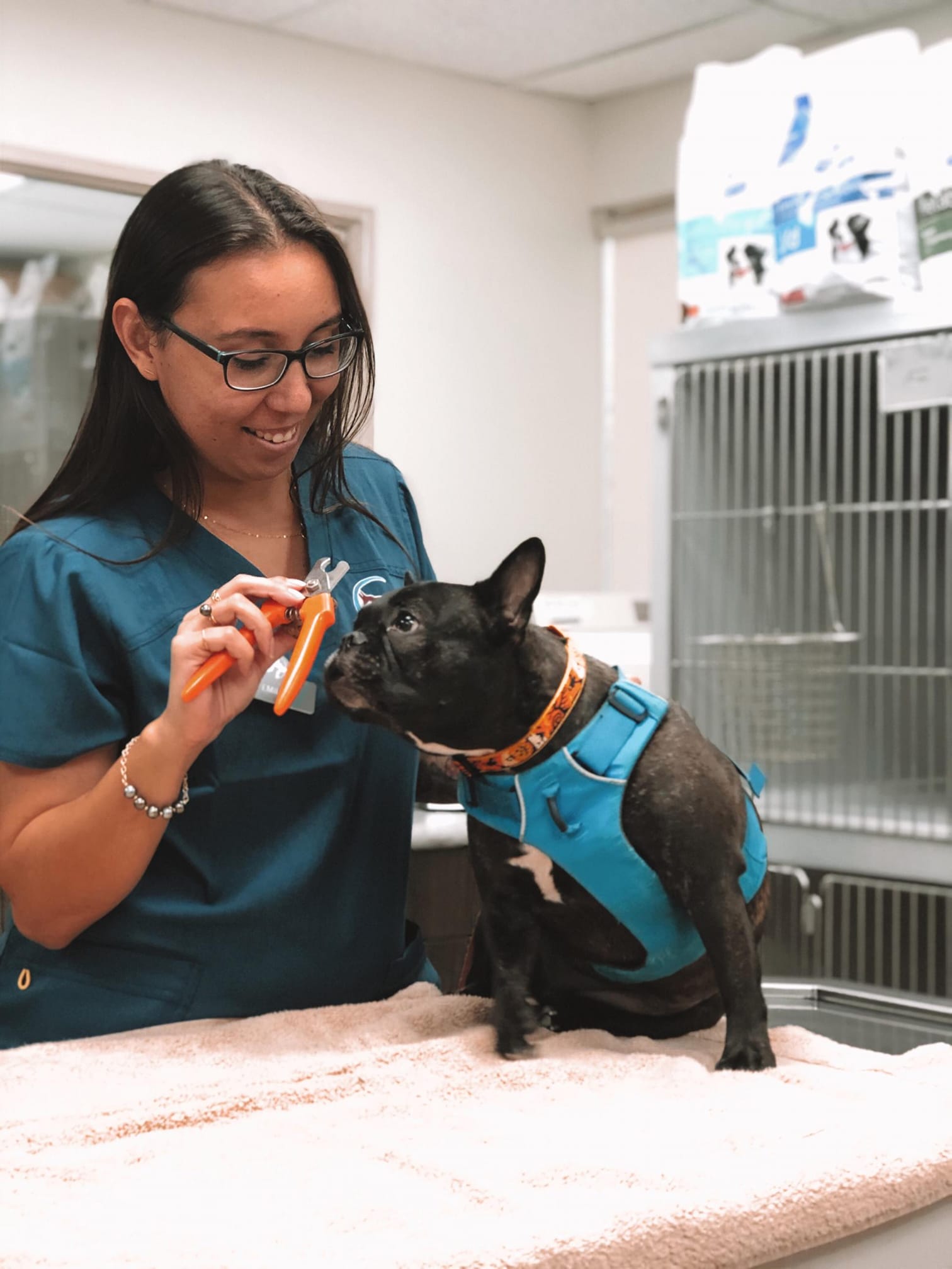 Maui Lani Veterinary Hospital Kahului, HI